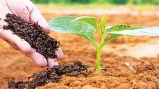 2047 तक 27 प्रतिशत कृषि भूमि पर प्राकृतिक खेती का लक्ष्य।