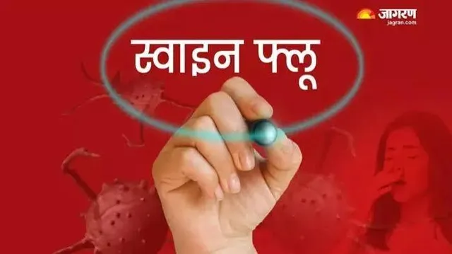 हापुड़ में स्वाइन फ्लू का कहर जारी, अब 3 नए मरीज मिले; मरीजों की संख्या बढ़कर हुई 12
