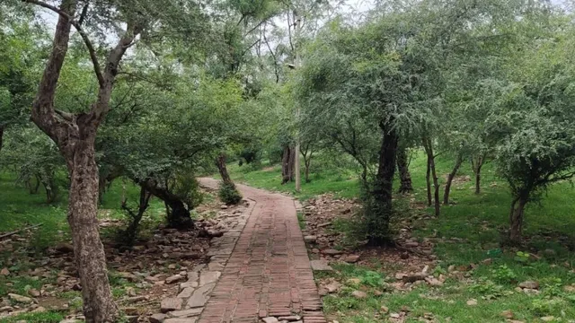 बरसाना परिक्रमा मार्ग पर श्रद्धालुओं को मिलेंगी विश्व स्तरीय सुविधाएं, बनेगा विश्राम स्थल और कैफेटेरिया