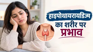 थायरॉइड और ब्लड प्रेशर: जानें हृदय रोगों से इसका सीधा कनेक्शन (Picture Credit- AI Generated)