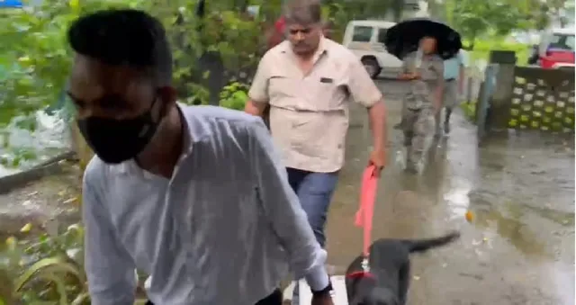 घाटशिला में अपराधियों का तांडव: दिनदहाड़े गनपॉइंट पर 40 हजार की लूट, बंद क्वार्टर से लाखों के आभूषण साफ
