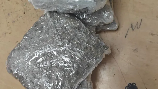 IGI एयरपोर्ट पर 5 Kg गांजे के साथ यात्री अरेस्ट, बैंकाक से ट्रॉली बैग के गुप्त केबिन में छिपाकर ला रहा था खेप
