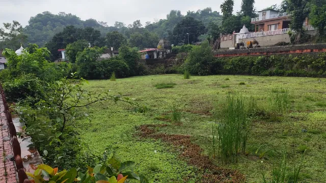 हिमाचल के कांगड़ा में तालाब बना बड़ा जोखिम, स्थानीय लोगों को सता रहा हादसे का डर; प्रशासन से लगाई गुहार