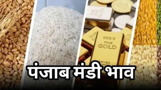 Punjab Mandi Bhav 12th September: गेहूं, चावल, दाल और Gold-Silver Price, कीमतों और मांग में उतार-चढ़ाव जारी
