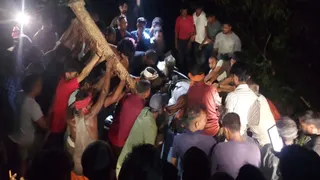 गाजीपुर में पेड़ गिरने से मजदूर दबे, बचाव कार्य जारी।