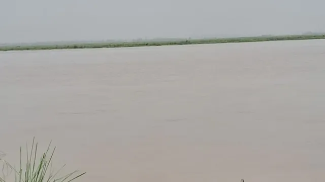 गंगा का उफान थमा तो बढ़ी कटान की चिंता, हापुड़ में गंगा किनारे खड़ी फसलों पर मंडराया संकट

