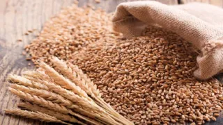 प्रतीकात्मक तस्वीर