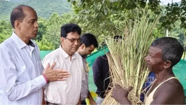 लखीसराय में जनजाति परिवारों के लिए कमाई की नई राह, लेमनग्रास की खेती से बदलेगी महजनमा की तकदीर