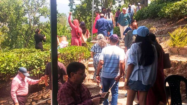 कौसानी के चाय बागान मानसून में भी बने पर्यटकों की पहली पसंद, रिकॉर्ड तोड़ सैलानी पहुंचे

