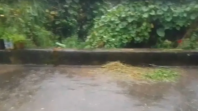बागेश्वर में मौसम का बदला मिजाज, गरज-चमक के साथ मूसलधार बारिश से जनजीवन अस्त-व्यस्त