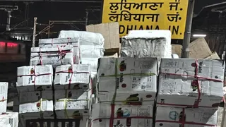 लुधियाना से पर्सिमोन फल रवाना होते हुए ।