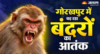तस्वीर का इस्तेमाल प्रतीकात्मक प्रस्तुतीकरण के लिए किया गया है। जागरण