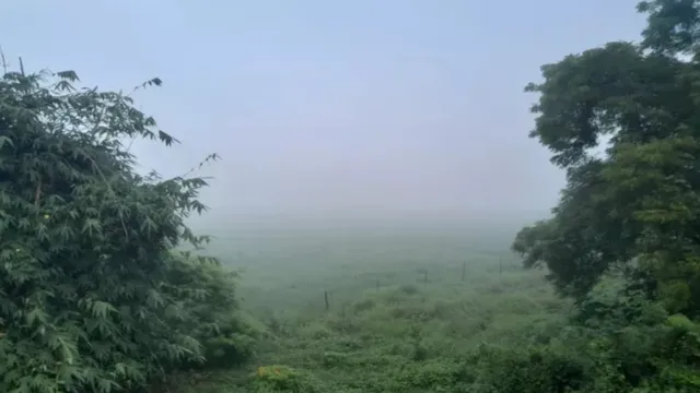 पूर्वांचल में गुलाबी ठंड की आहट, कई जिलों में अभी से नजर आने लगा सुबह का कुहासा, जल्द कोहरे की भी बनेगी सूरत