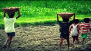 कर्नाटक में एक दिन में बचाए गए 800 बाल मजदूर
