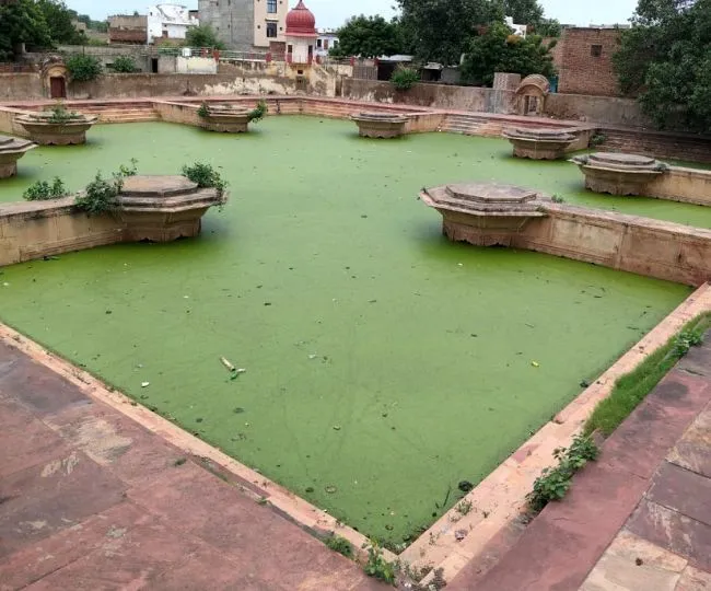 shivtal small