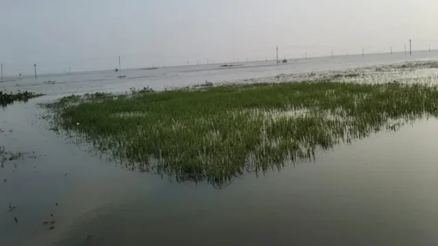 बीमा कंपनी ने बाढ़ में बर्बाद फसल का रोका क्लेम, कंज्यूमर कोर्ट ने लगाया जुर्माना; किसान को मिलेंगे ₹1.48 लाख