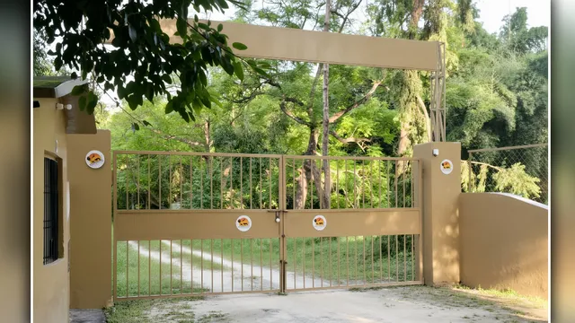 56 हजार पर्यटकों का रिकॉर्ड टूटेगा! पीटीआर के महोफ गेट पर सफारी प्रेमियों के लिए तैयार हो रही आधुनिक कैंटीन
