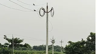 फैलवा गांव के पास निकली बखरिया फीडर की लाइन व महादेवा फीडर की लाइन पर लटका तार। जागरण