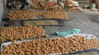 इसमें प्रतीकात्मक तस्वीर लगाई गई है।