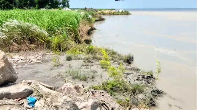 नारायणी नदी का कहर: कुशीनगर में फसलें और बांध खतरे में, ग्रामीणों में दहशत
