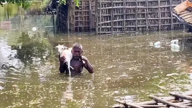 बिहार: बाढ़ में पशु की मौत पर सरकार देगी ₹37500 तक मुआवजा, जानिए आवेदन की पूरी प्रक्रिया
