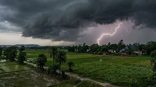 एआई द्वारा जेनरेट इमेज।