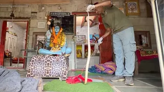 जीव संरक्षण संस्था वाइल्डलाइफ एसओएस से जुड़े शख्स ने कड़ी मशक्कत के बाद सांप को काबू किया। जागरण