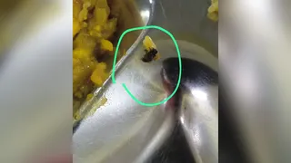 प्रतीकात्मक तस्वीर।