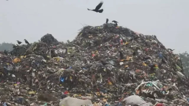 वाराणसी में बढ़ते कूड़े ने करसड़ा प्लांट की बढ़ाई चुनौती, अब 1100 टन रोज का बढ़ा दबाव
