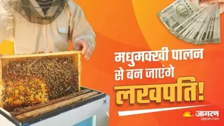 मधुमक्खी पालन पर मिलेगा 40 प्रतिशत अनुदान।