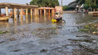 पटना में बाढ़। फाइल फोटो