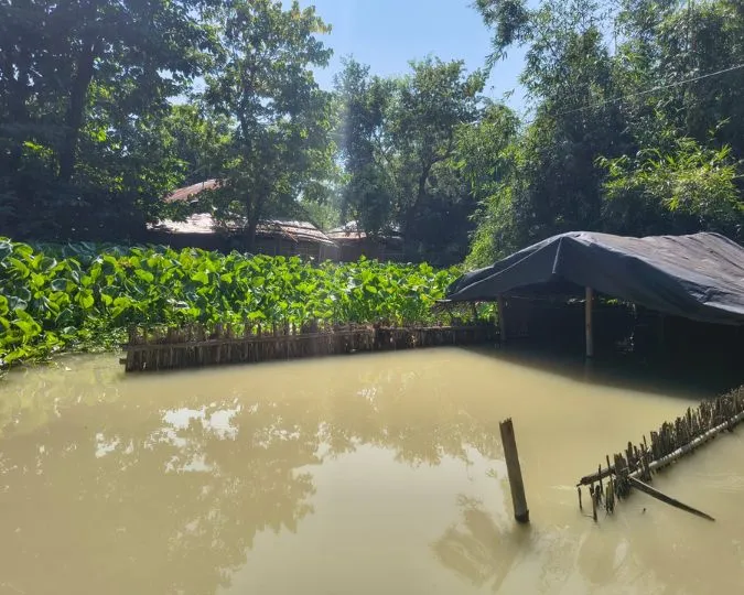 Katihar Flood Crisis Barari Block Submerged Life on Boats (2)