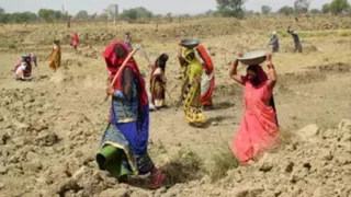 सांकेतिक तस्वीर