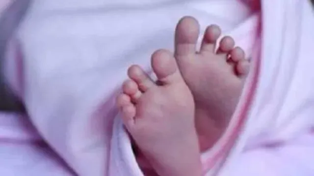 चंबा में नवजात का सिर और धड़ अलग मिलने से सनसनी, किसकी थी मासूम? अब घर-घर जाकर जांच करेगी पुलिस
