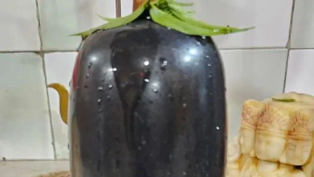 शिवलिंग पर दिखी सर्प जैसी आकृति, श्रद्धालु बोले- भगवान शिव का चमत्कार; पटौदी के झूलेलाल मंदिर में कीर्तन शुरू
