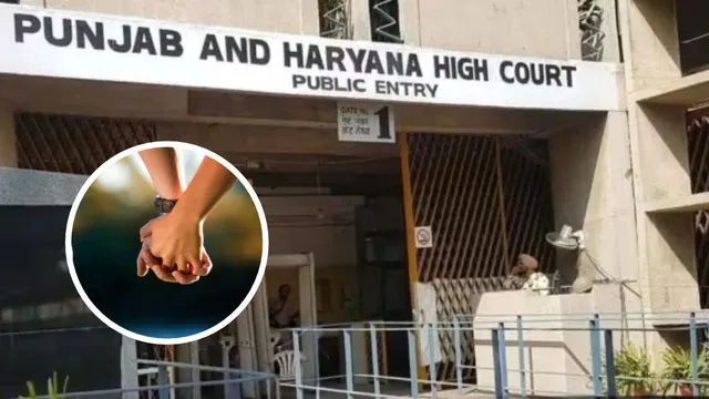 6 बच्चों की मां, 2 बच्चों का बाप... लिव-इन की सुरक्षा मांगने पहुंचे हाई कोर्ट, जज साहब ने क्या सुनाया फैसला?
