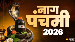 नाग पंचमीं का पर्व नागों की पूजा व कृपा दृष्टि बनी रहने की आस्था से जुड़ा।