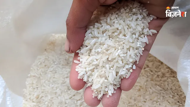 https://www.jagranimages.com/images/2026/09/15/template/image/rice-pic-1789460444465.webp