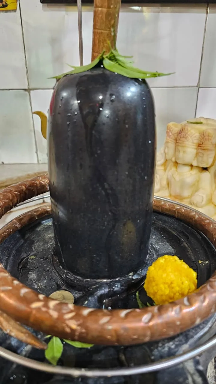 shivling-water-sarp-mark