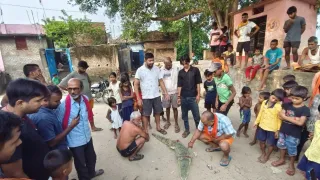 जाल में फंसा घड़ियाल