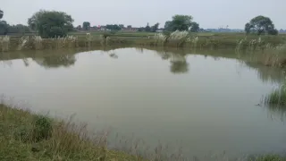 तालाब में भरा पानी। फोटो जागरण