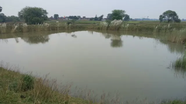तालाब में कमर तक पानी, ऐप में चल रही खुदाई; जमुई में 'वीबी-जी रामजी' योजना में बड़े फर्जीवाड़े का भंडाफोड़
