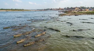 यह तस्वीर AI जेनेरेटेड है