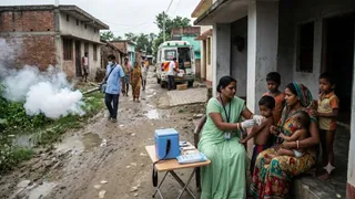 नेपाल में बाढ़ के बाद बिहार के 8 जिलों में एईएस-जेई का खतरा (AI Generated Image)