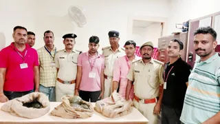गया जंक्शन पर दून एक्सप्रेस के S-8 कोच में मिले 45 जीवित कछुए, तस्करी की आशंका