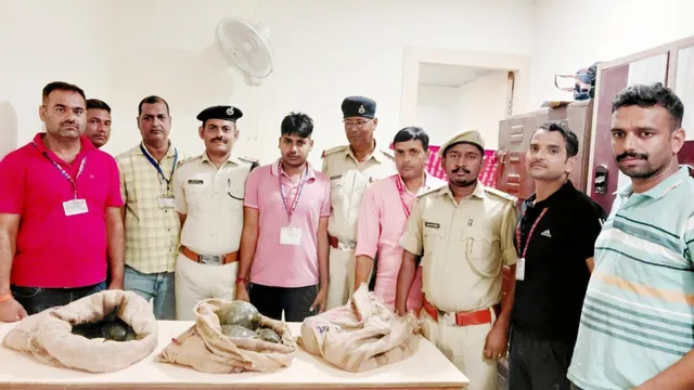 गया जंक्शन पर दून एक्सप्रेस के S-8 कोच में मिले 45 जीवित कछुए, तस्करी की आशंका
