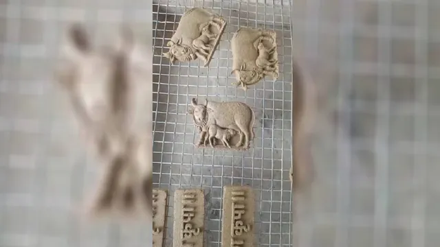 गोबर से बनेंगे दीये-धूप और अगरबत्ती, हरियाणा में महिलाओं को दी जा रही ट्रेनिंग, गलियों में बेसहारा नहीं घूमेंगी गायें
