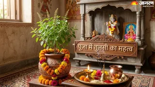 तुलसी के पत्ते का महत्व (AI-Generated Image)
