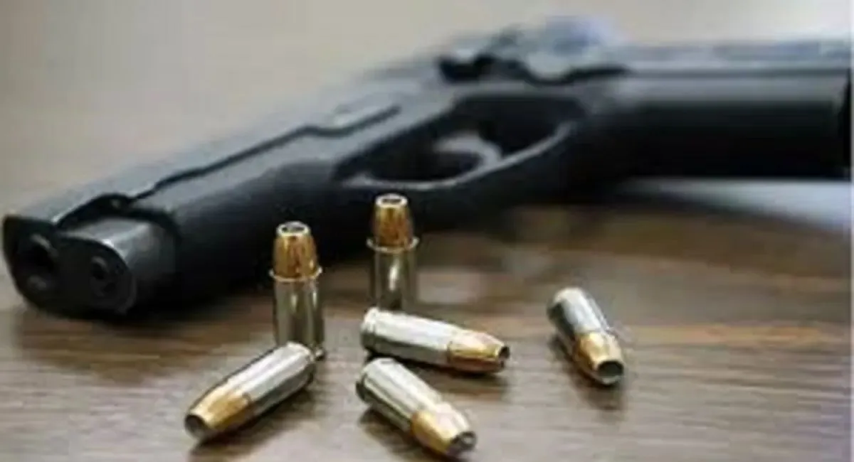 gun_ (1)