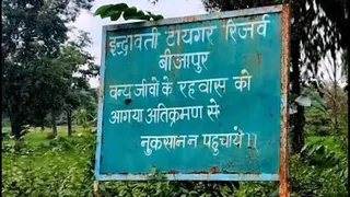छत्तीसगढ़ के बस्तर में इंद्रावती बाघ अभयारण्य पर्यटकों के लिए खुलेगा